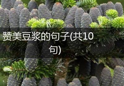 赞美豆浆的句子(共10句)
