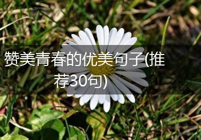 赞美青春的优美句子(推荐30句)