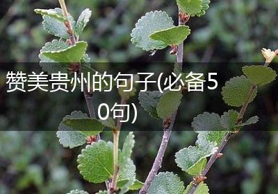 赞美贵州的句子(必备50句)