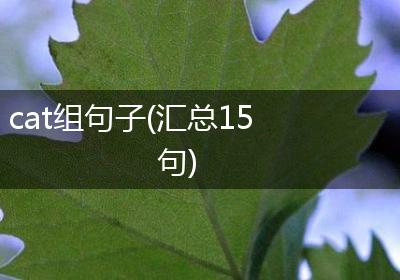 cat组句子(汇总15句)