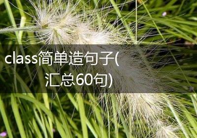 class简单造句子(汇总60句)