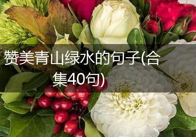 赞美青山绿水的句子(合集40句)