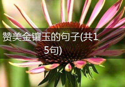 赞美金镶玉的句子(共15句)