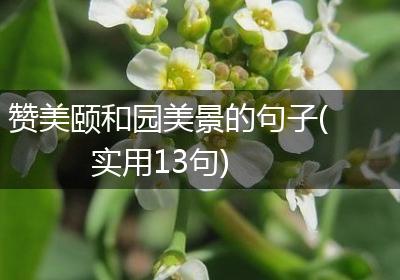 赞美颐和园美景的句子(实用13句)