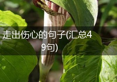 走出伤心的句子(汇总49句)
