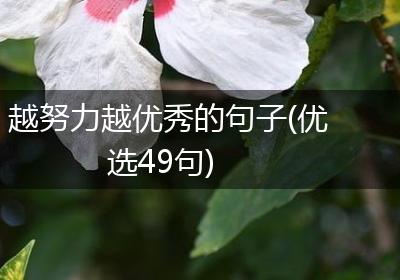 越努力越优秀的句子(优选49句)