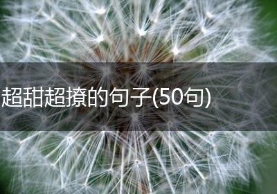 超甜超撩的句子(50句)