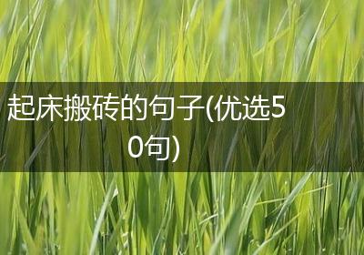 起床搬砖的句子(优选50句)