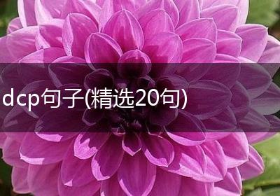 dcp句子(精选20句)