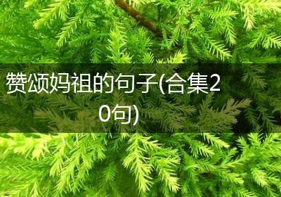 赞颂妈祖的句子(合集20句)
