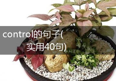 control的句子(实用40句)