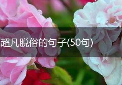 超凡脱俗的句子(50句)