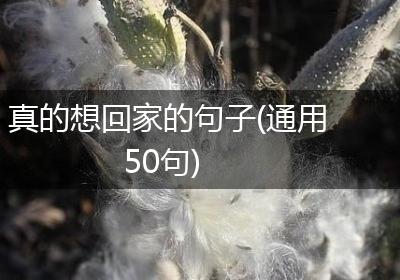 真的想回家的句子(通用50句)