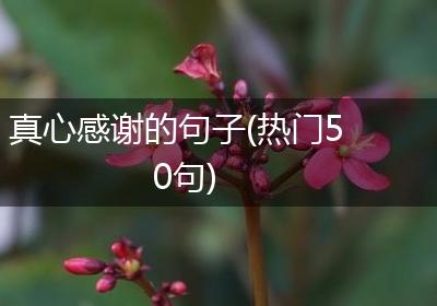 真心感谢的句子(热门50句)