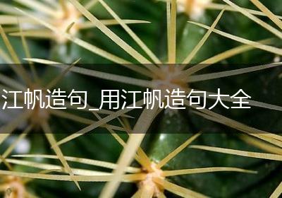 江帆造句_用江帆造句大全
