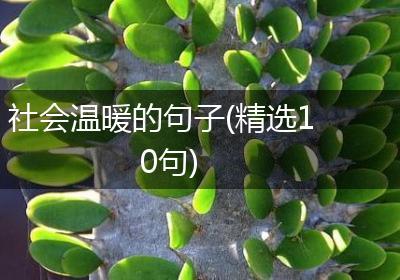 社会温暖的句子(精选10句)
