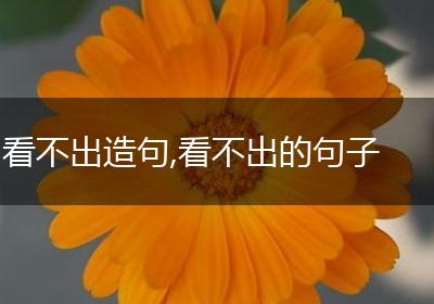看不出造句,看不出的句子