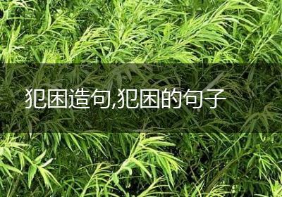 犯困造句,犯困的句子