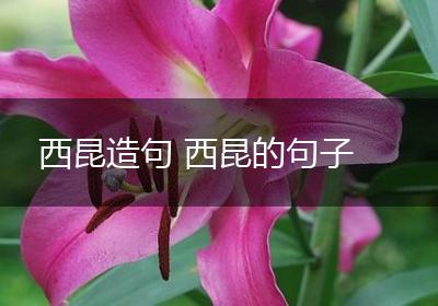 西昆造句 西昆的句子