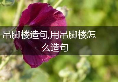 吊脚楼造句,用吊脚楼怎么造句