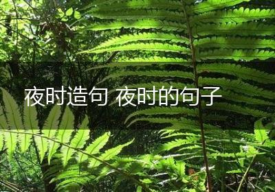 夜时造句 夜时的句子