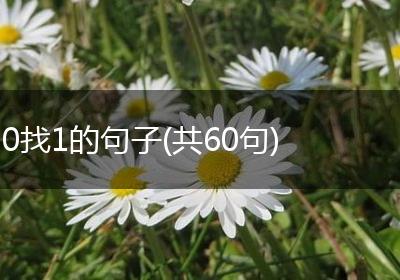 0找1的句子(共60句)