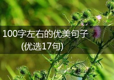 100字左右的优美句子(优选17句)