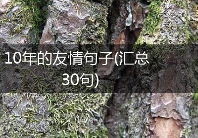 10年的友情句子(汇总30句)