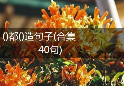 ()都()造句子(合集40句)