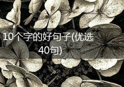 10个字的好句子(优选40句)