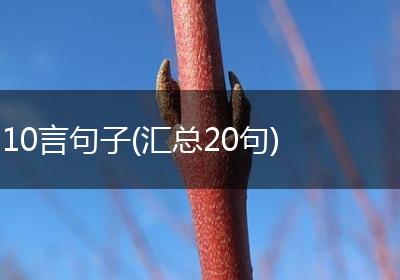 10言句子(汇总20句)