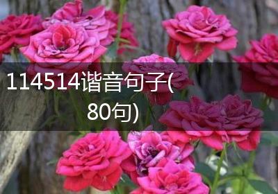 114514谐音句子(80句)
