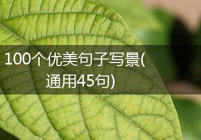 100个优美句子写景(通用45句)