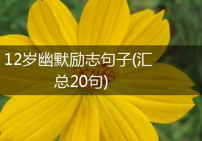 12岁幽默励志句子(汇总20句)