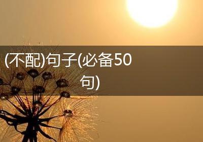(不配)句子(必备50句)