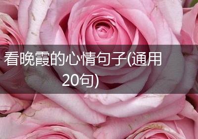 看晚霞的心情句子(通用20句)