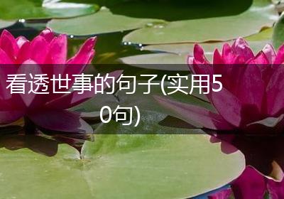 看透世事的句子(实用50句)