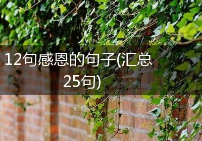 12句感恩的句子(汇总25句)