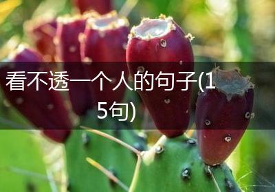 看不透一个人的句子(15句)