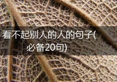 看不起别人的人的句子(必备20句)