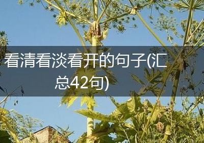 看清看淡看开的句子(汇总42句)