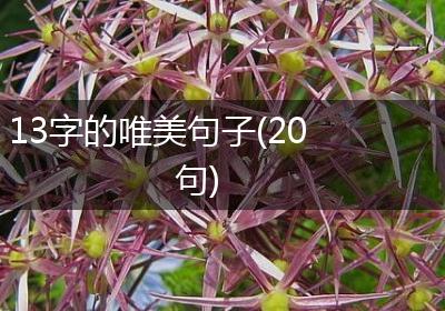 13字的唯美句子(20句)