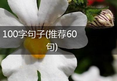 100字句子(推荐60句)