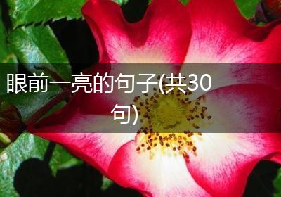 眼前一亮的句子(共30句)