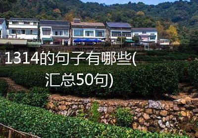 1314的句子有哪些(汇总50句)