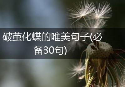 破茧化蝶的唯美句子(必备30句)