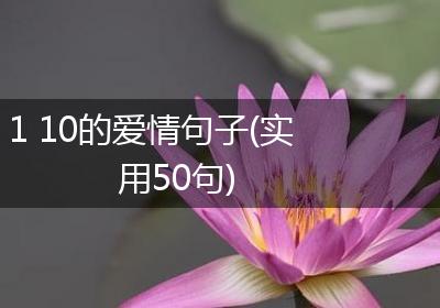 1 10的爱情句子(实用50句)