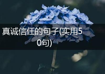 真诚信任的句子(实用50句)