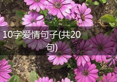 10字爱情句子(共20句)