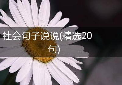 社会句子说说(精选20句)